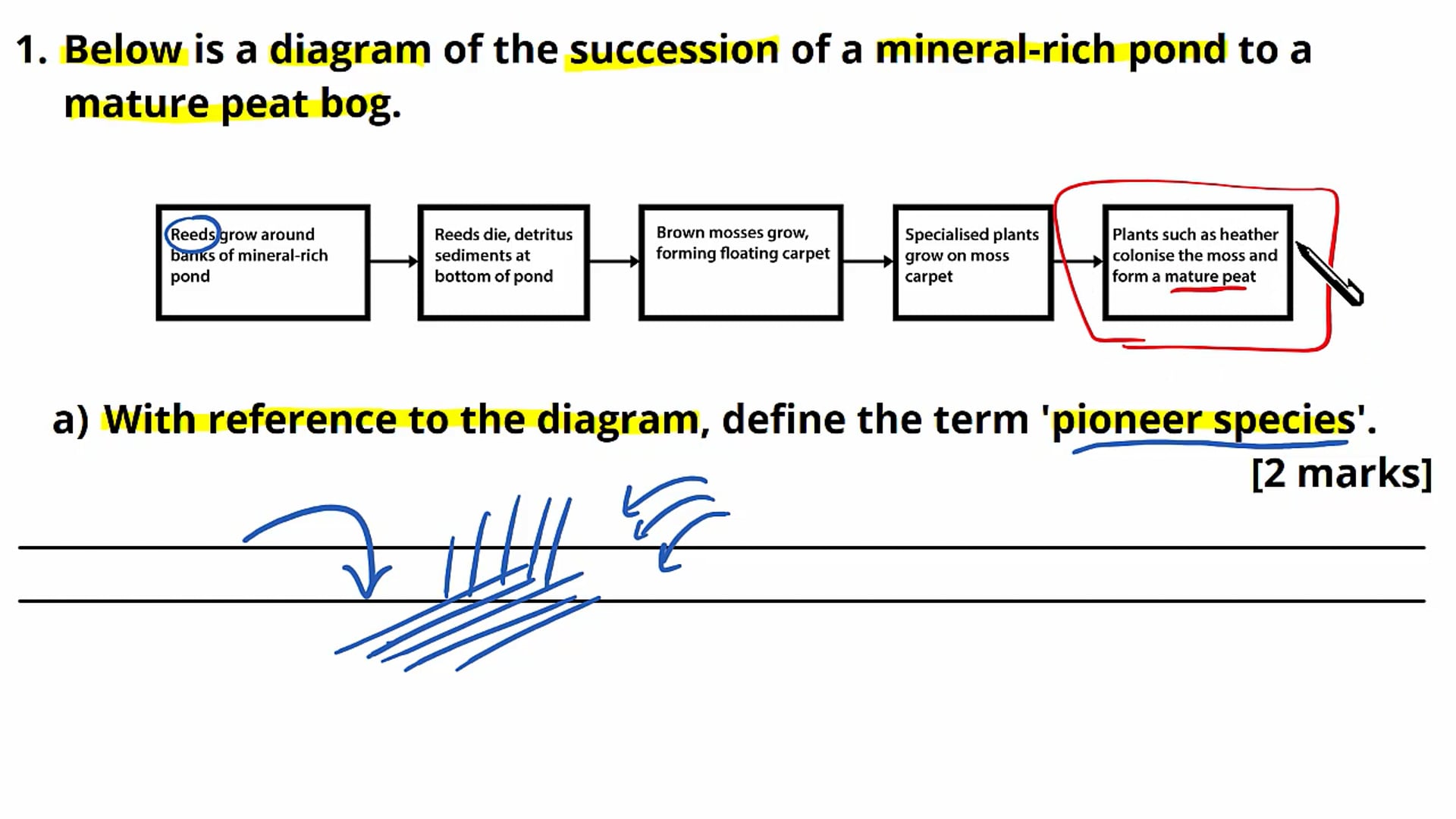 Succession Exam Question
