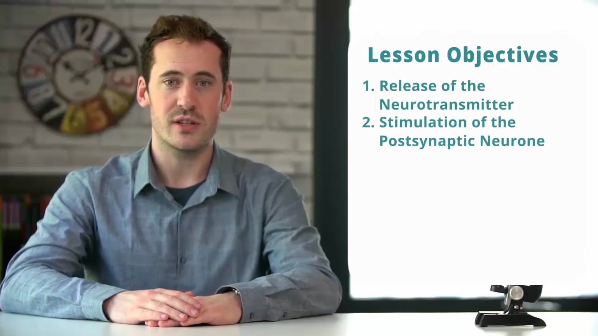 Synaptic Transmission