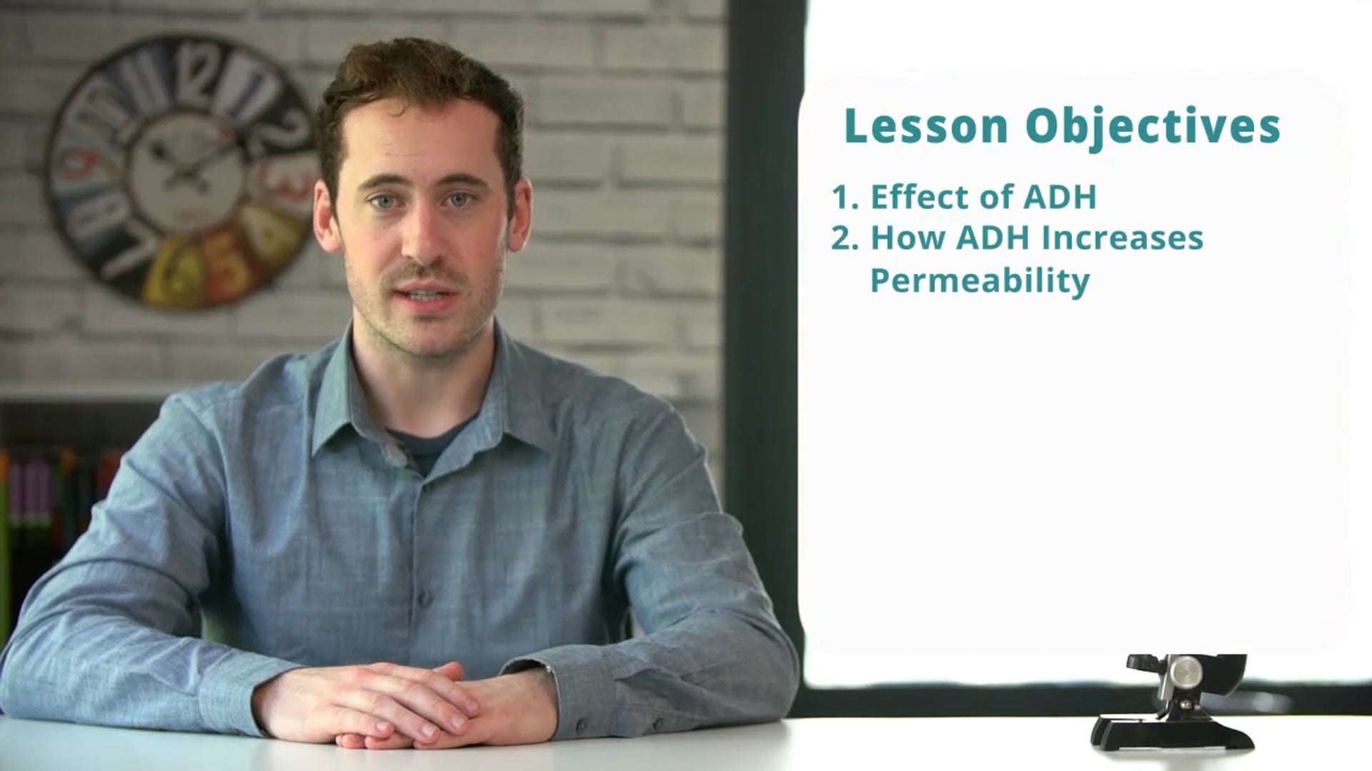 The Action of ADH