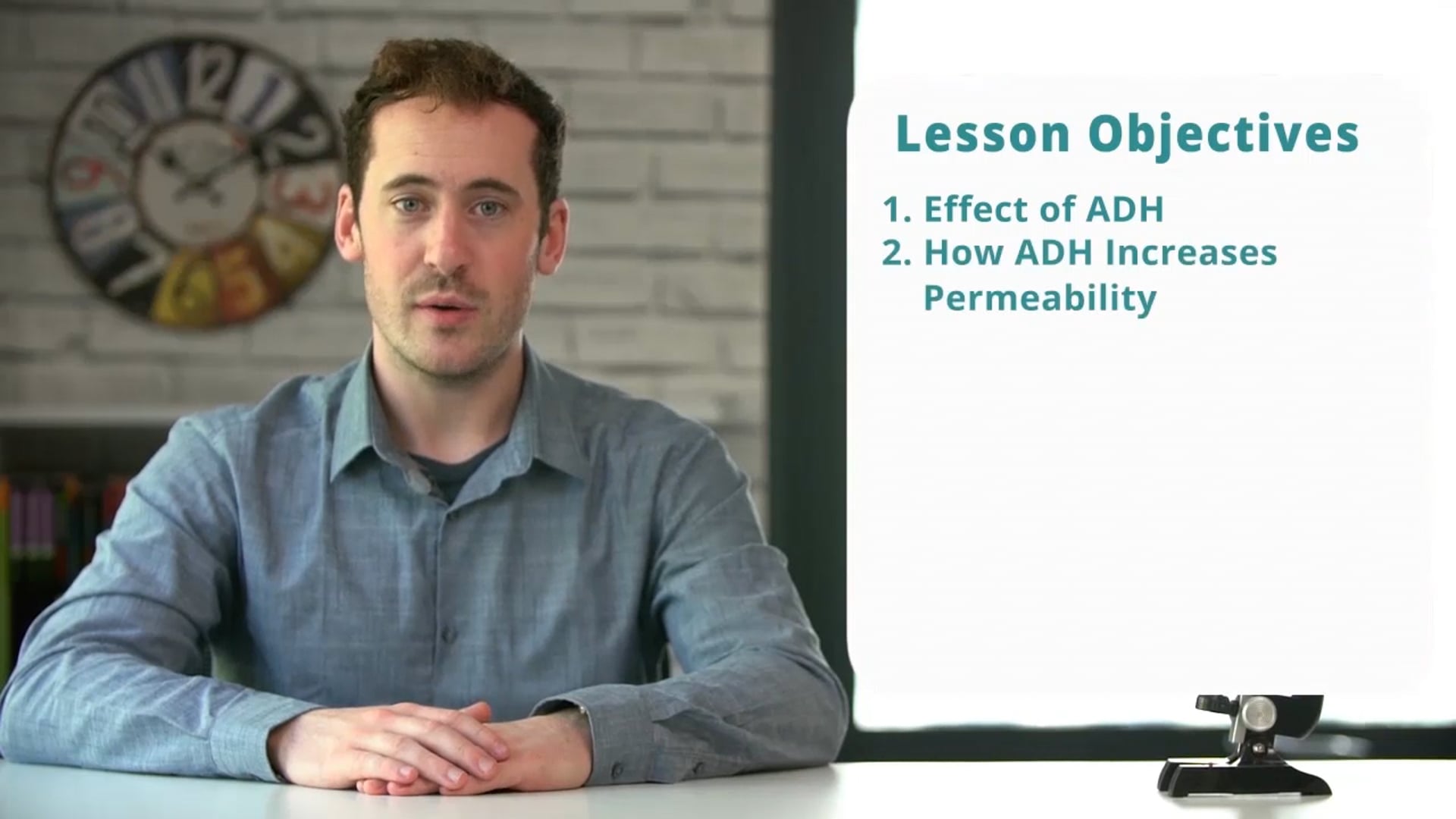 The Action of ADH