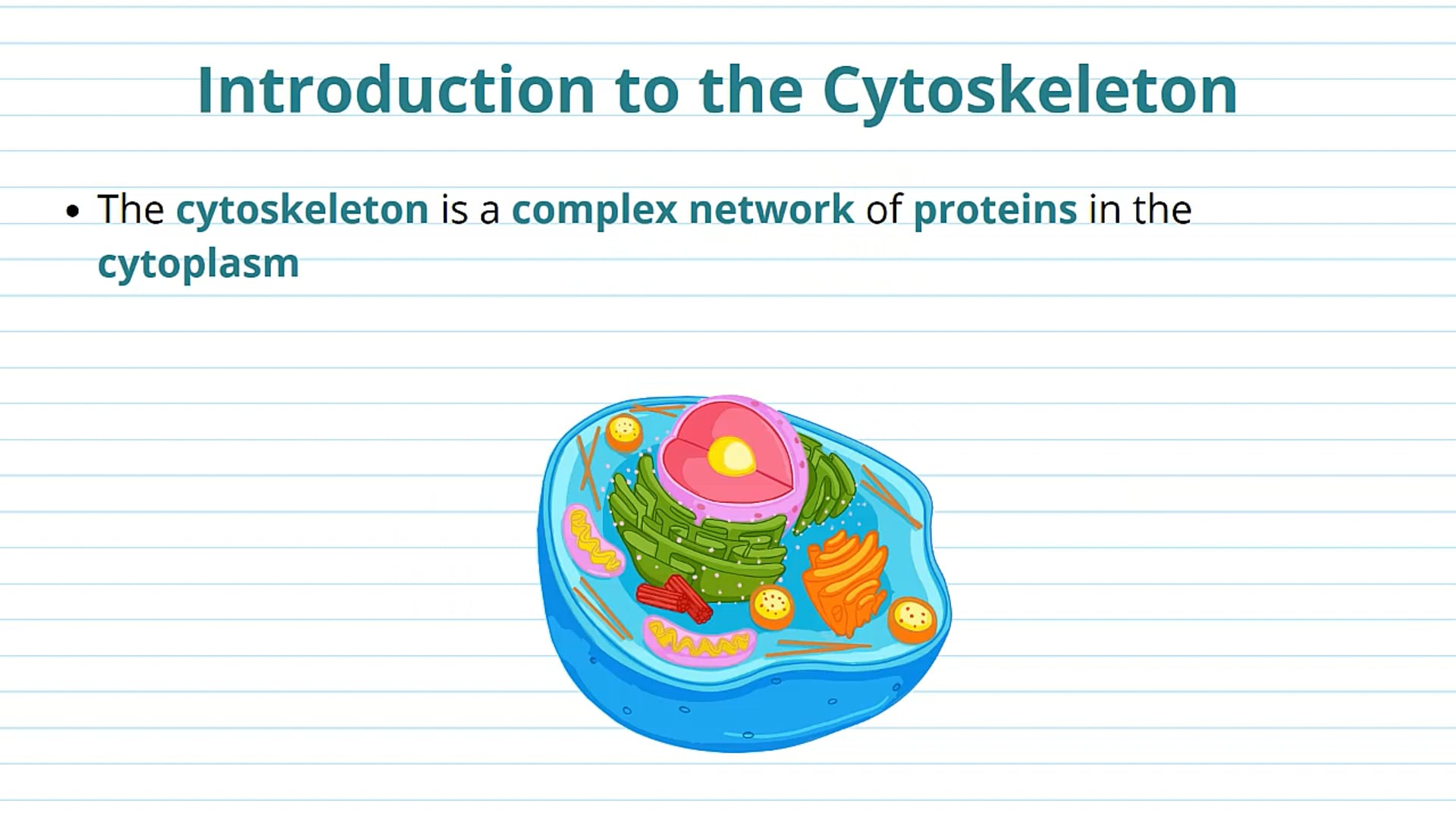 The Cytoskeleton