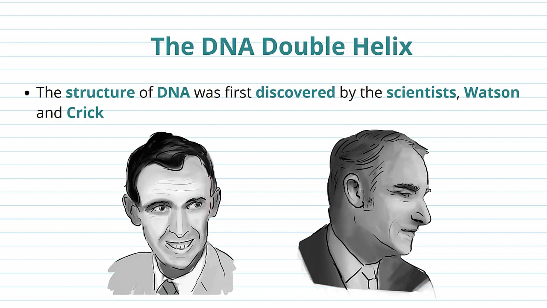 The DNA Double Helix