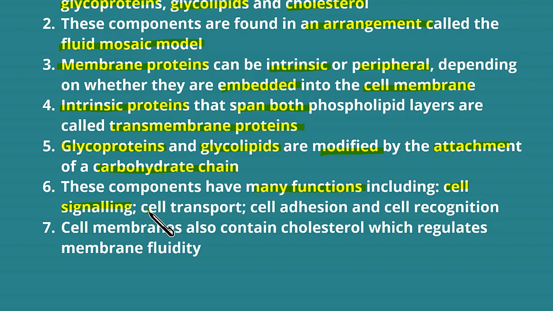 The Fluid Mosaic Model: Glycoproteins, Glycolipids and Cholesterol
