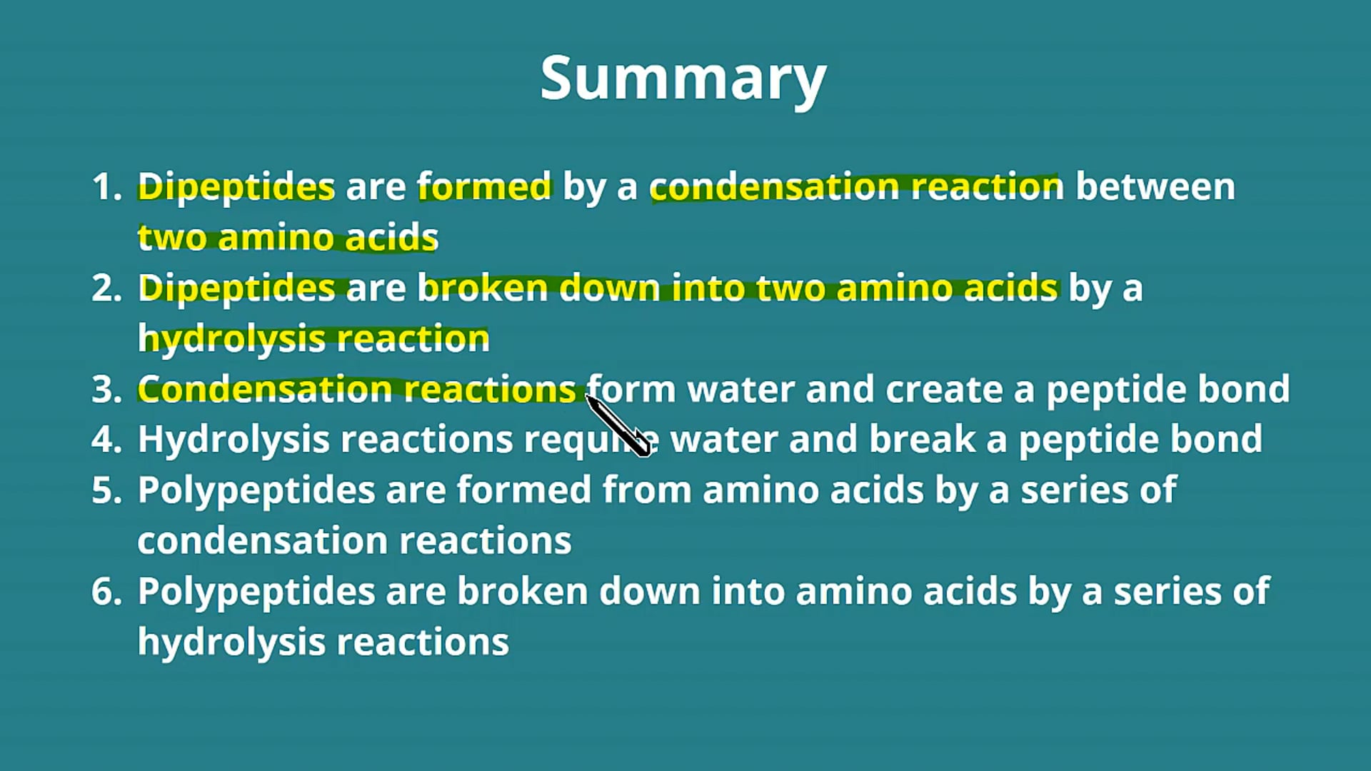 The Formation of Proteins