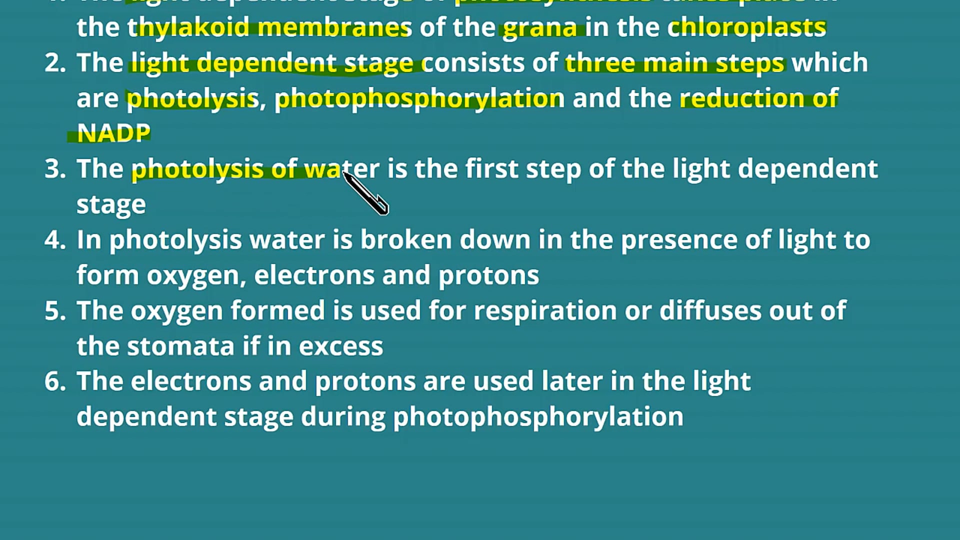 The Light Dependent Stage