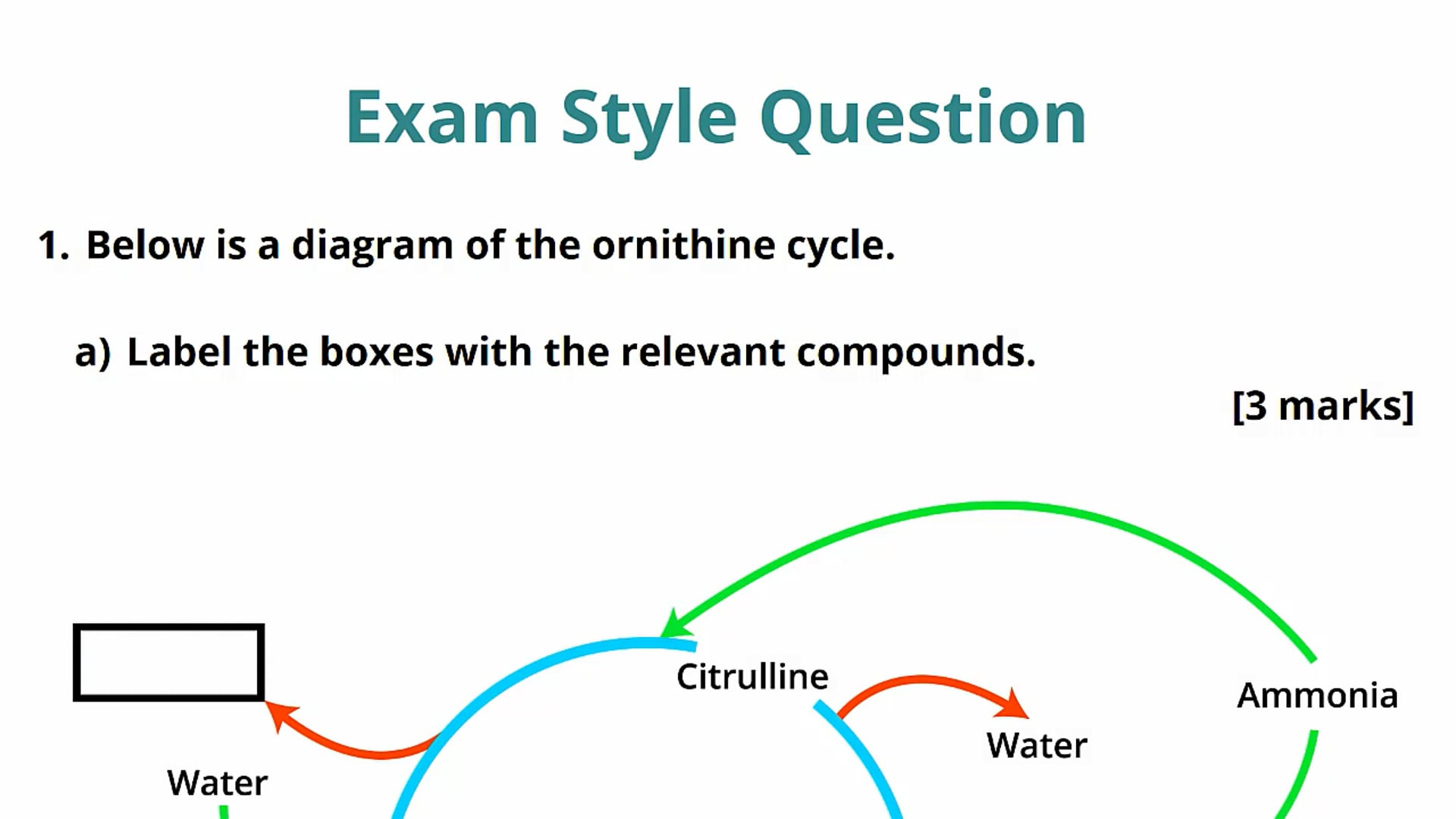 The Liver Exam Question