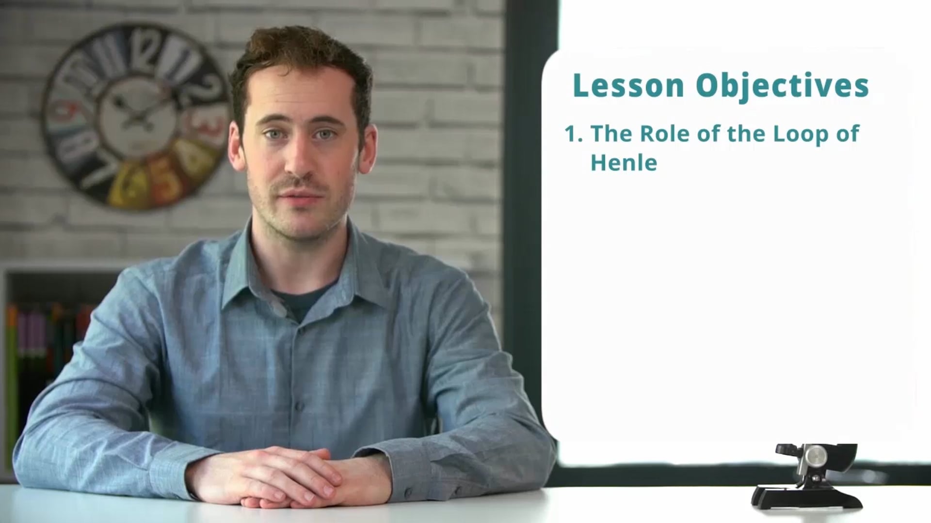 The Loop of Henle