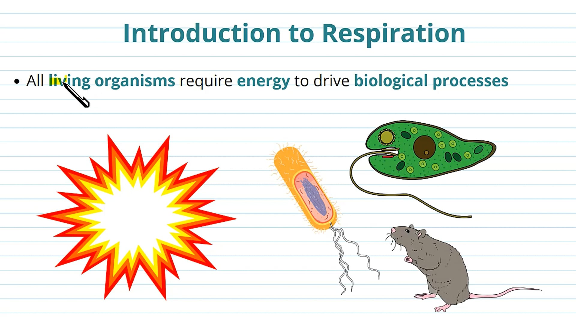 The Need for Cellular Respiration