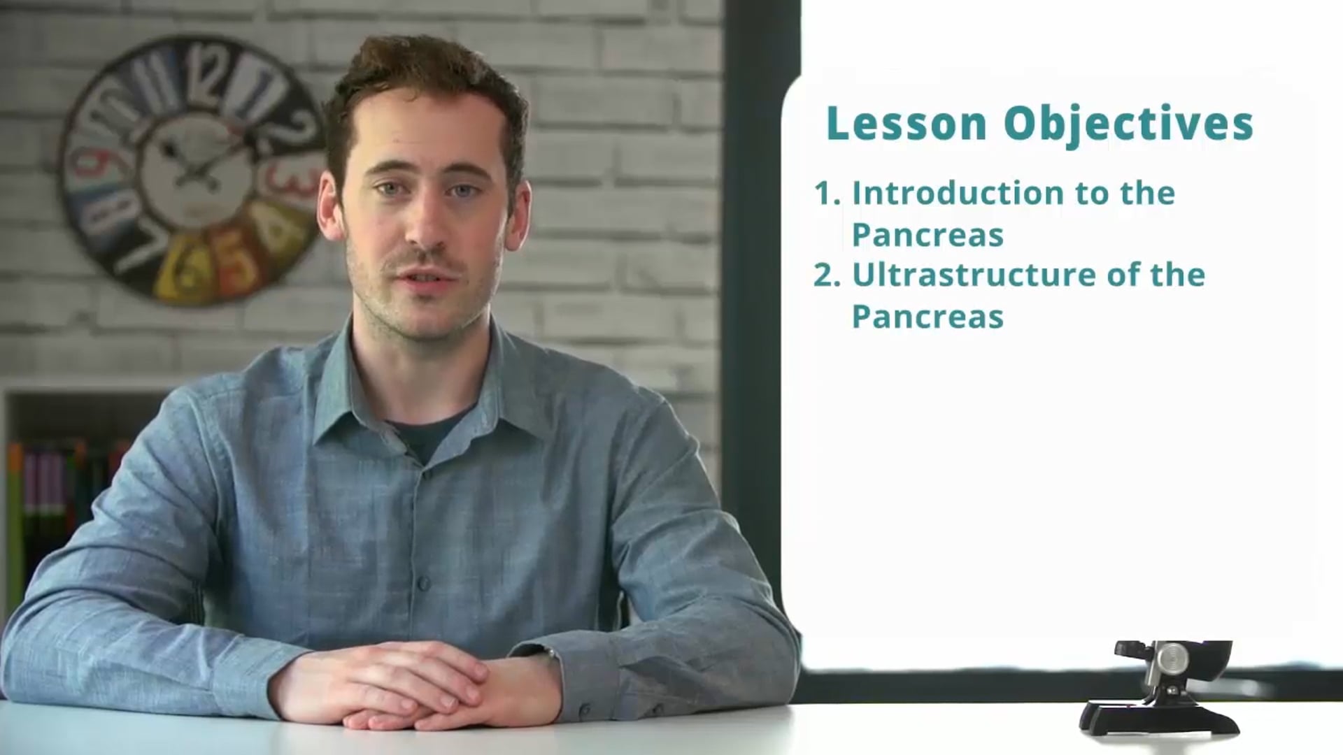 The Pancreas
