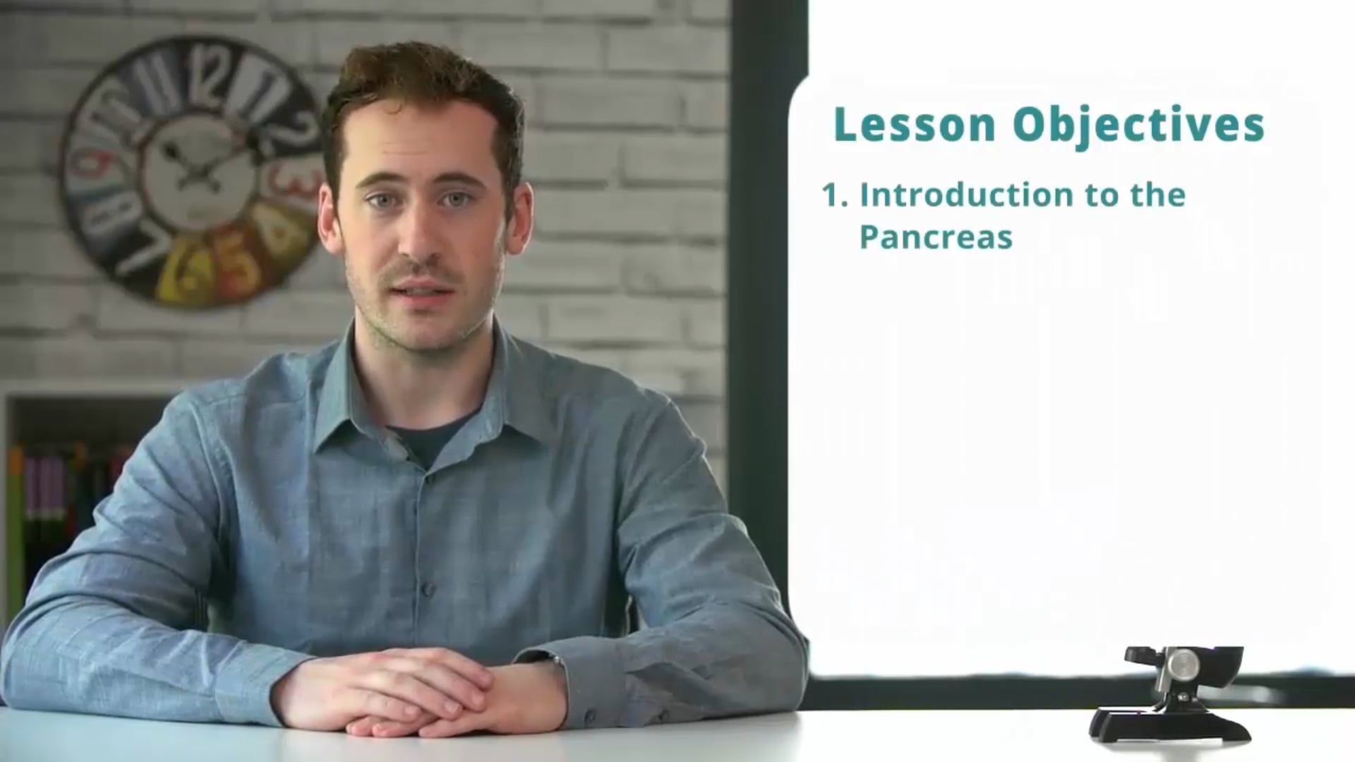 The Pancreas
