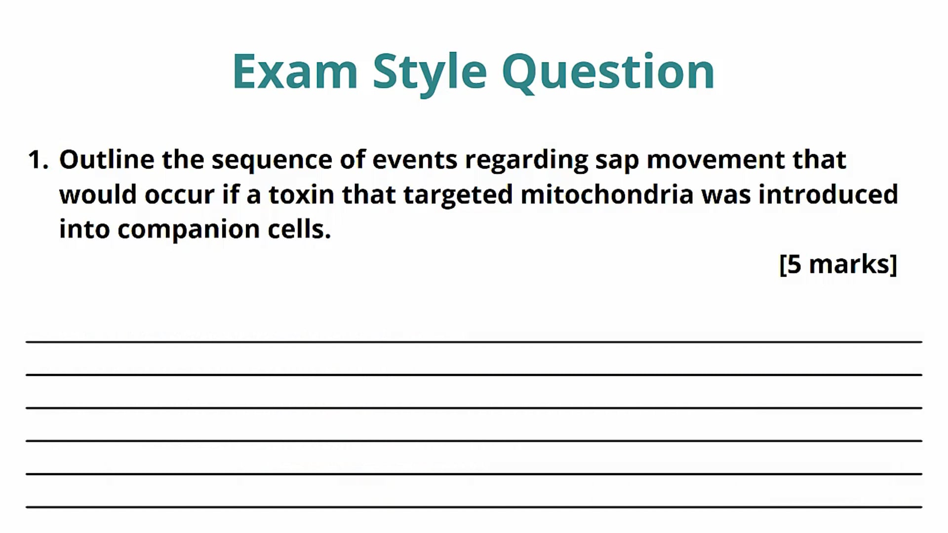 The Phloem and Translocation Exam Question