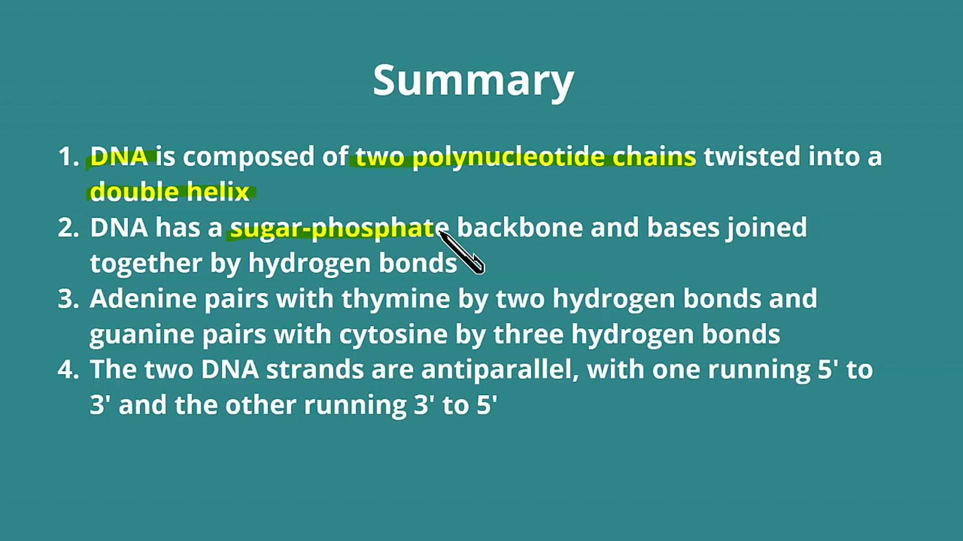 The Structure of DNA