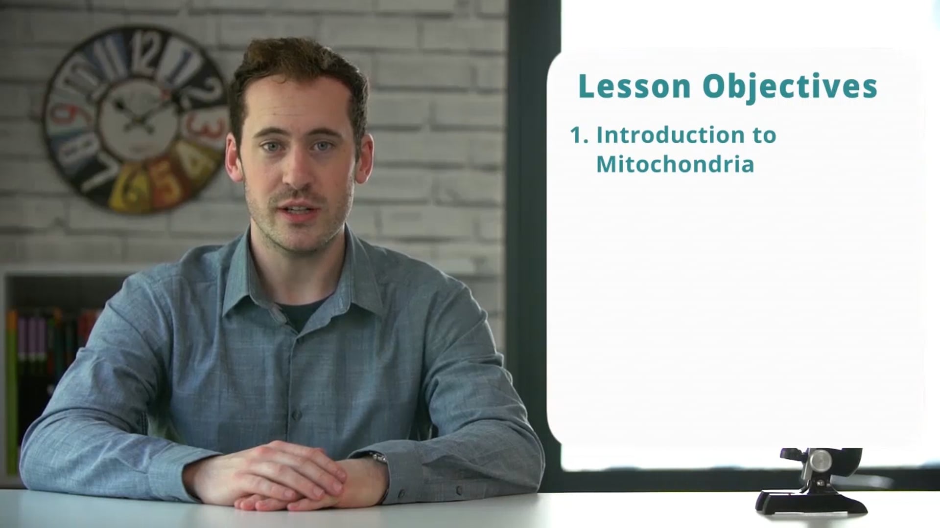 The Structure of Mitochondria
