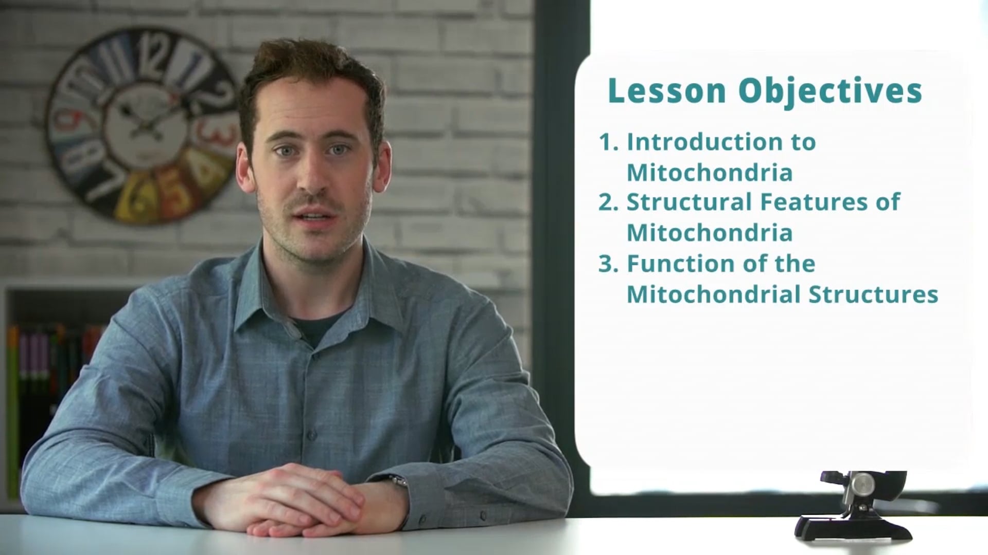 The Structure of Mitochondria