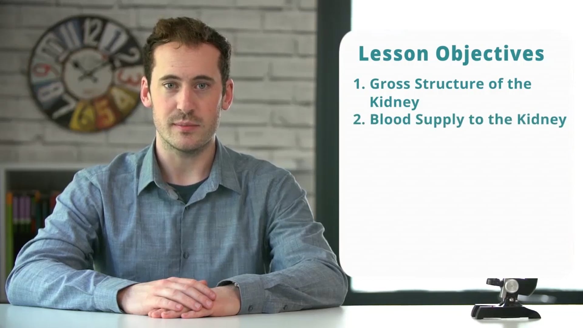 The Structure of the Kidney