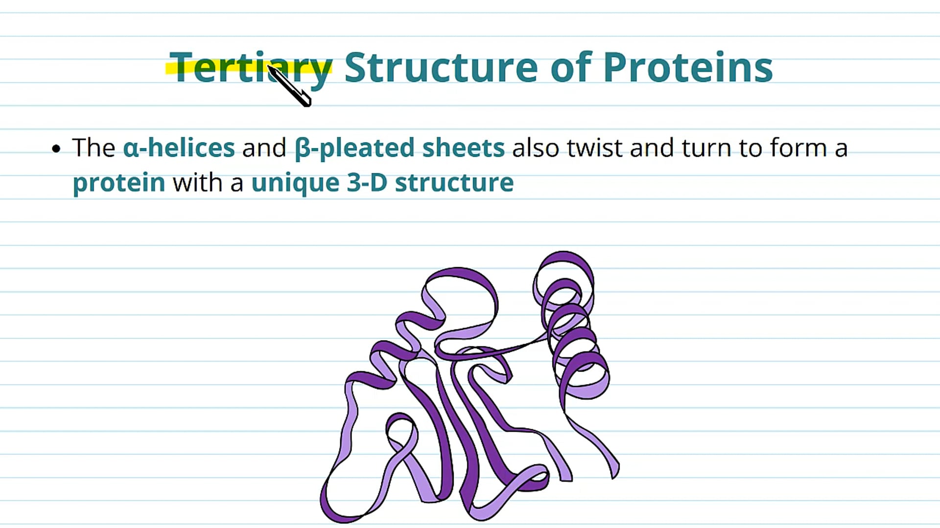 The Tertiary and Quaternary Structure of Proteins