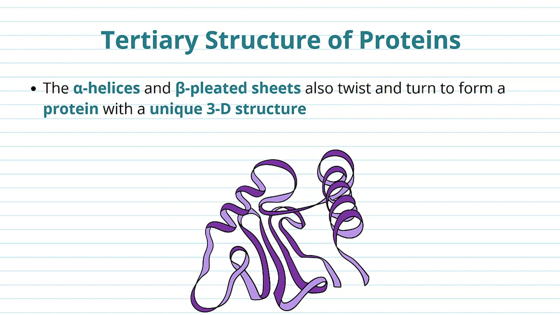 The Tertiary and Quaternary Structure of Proteins