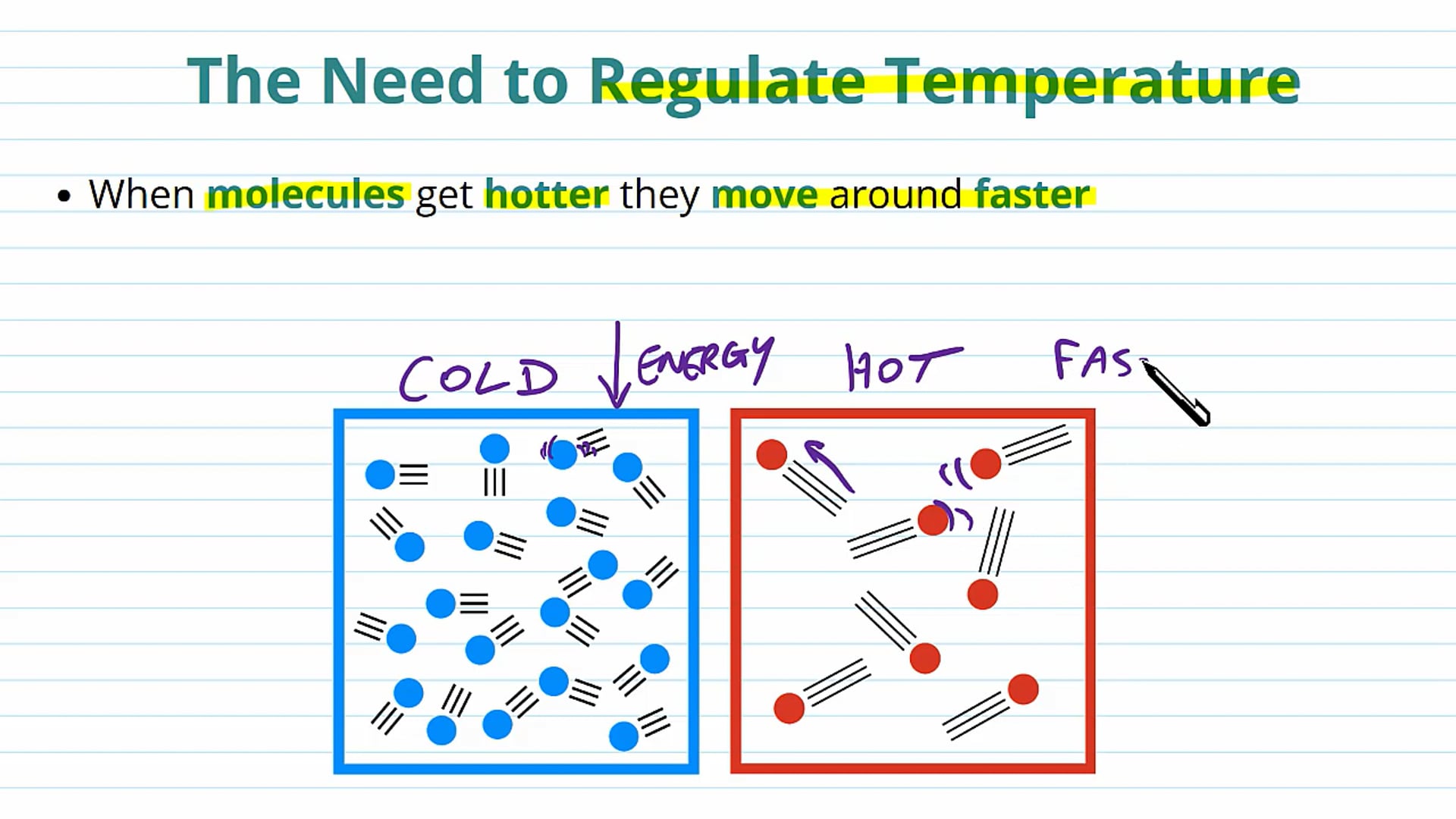 Thermoregulation