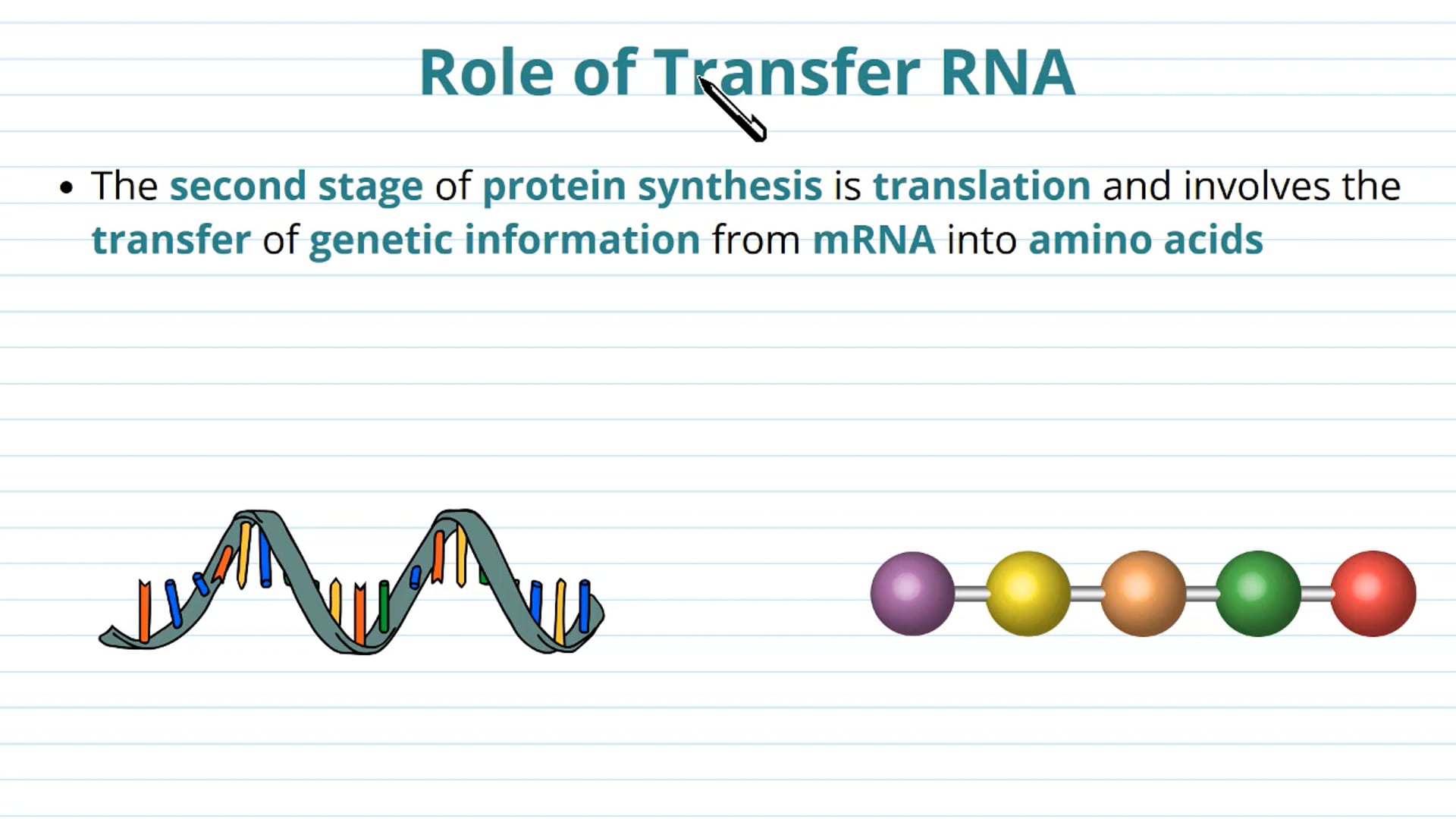 Transfer RNA