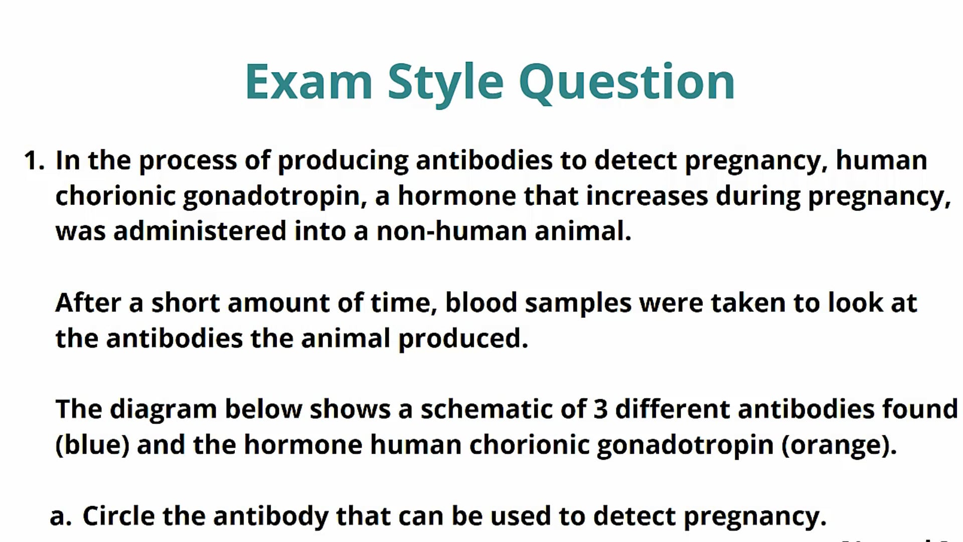 Urine Testing Exam Question