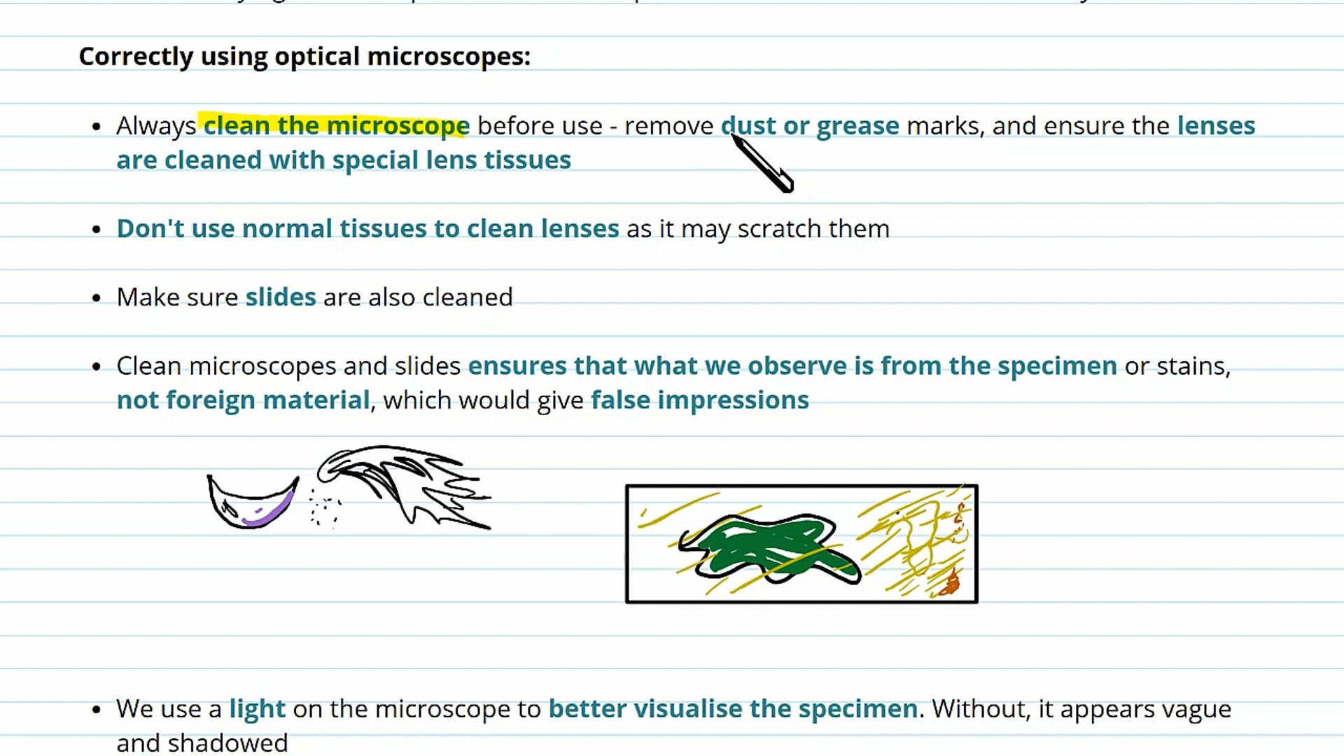 Use of the Light Microscope Implementation