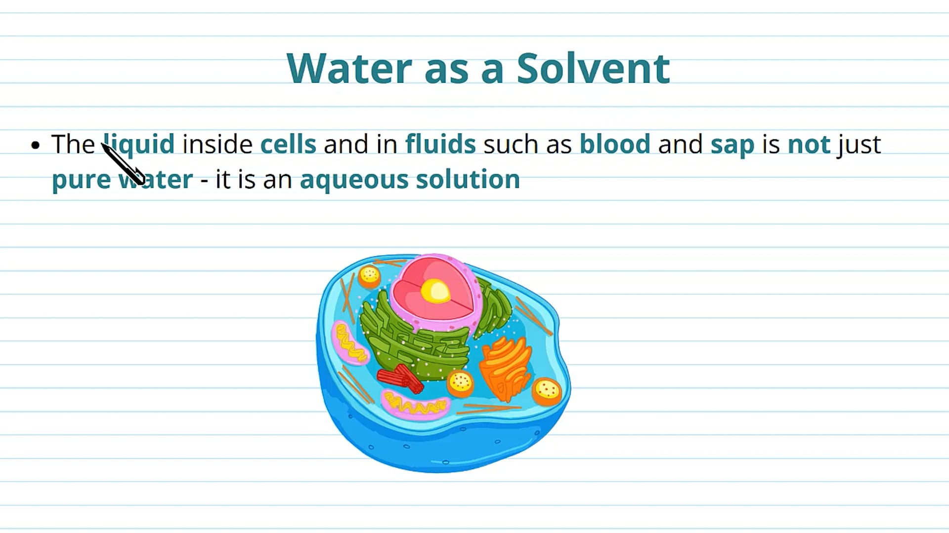 Water as a Solvent