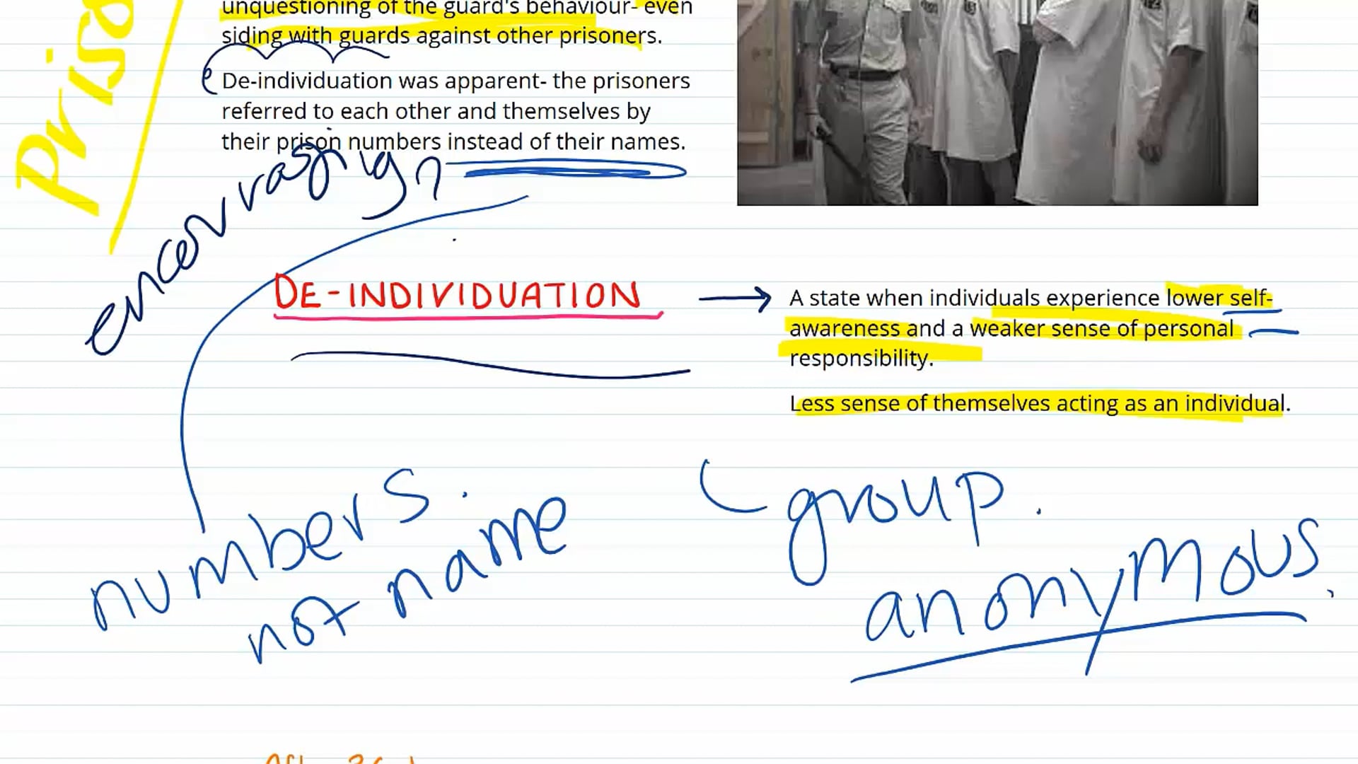 Zimbardo Prison Study: Findings Conclusions &amp; Exam Questions